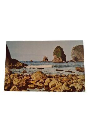 Oregon Coast Seascape Chrome Postcard Unposted